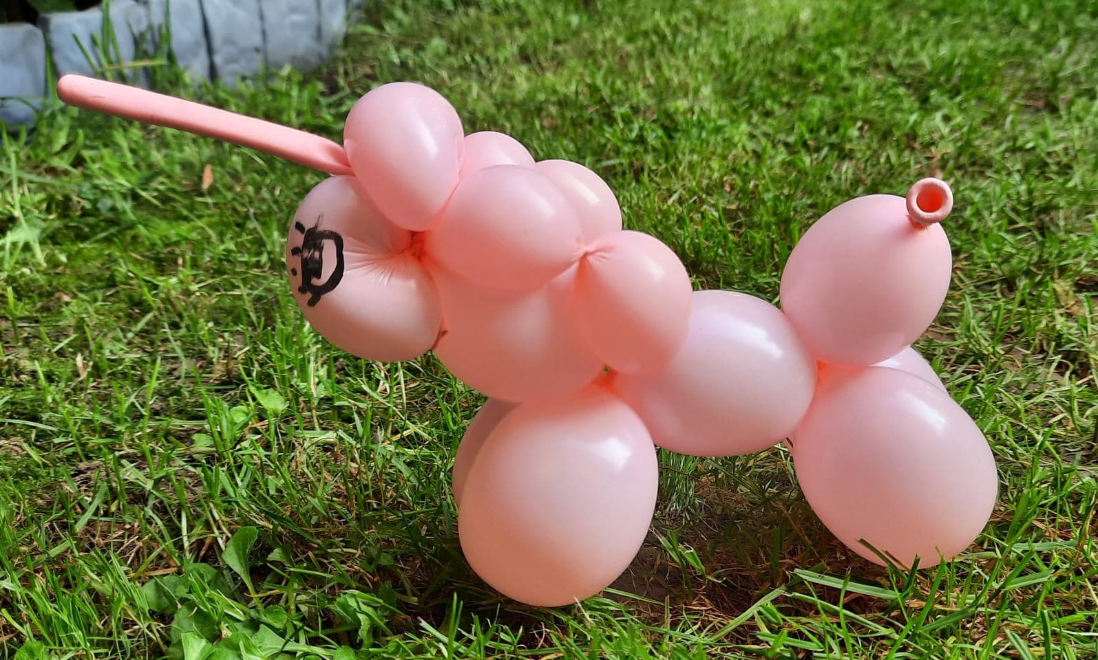 Luftballon Modellage Impression 9